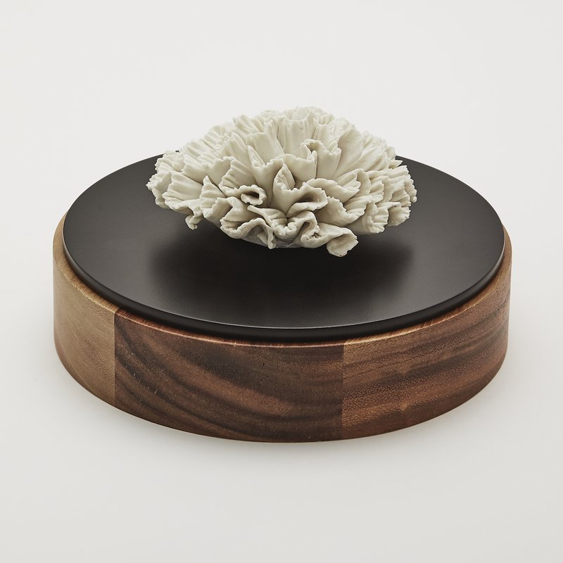 CHAN-XL BOX 20cm