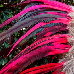 Indian headdress pink / red