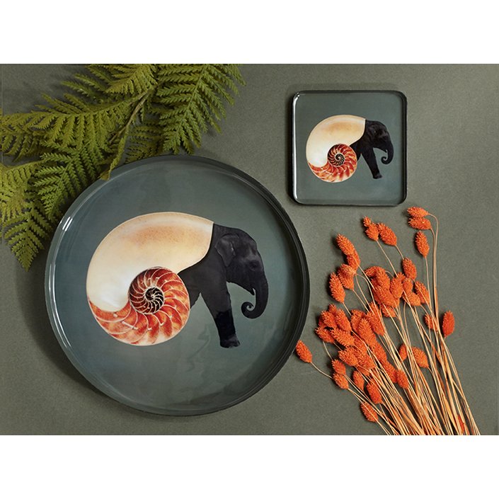 Shellephant Round Tray