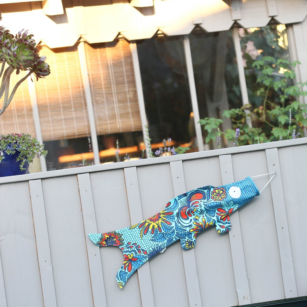 BLUE BLOSSOM KOINOBORI (KOI2.41/S)