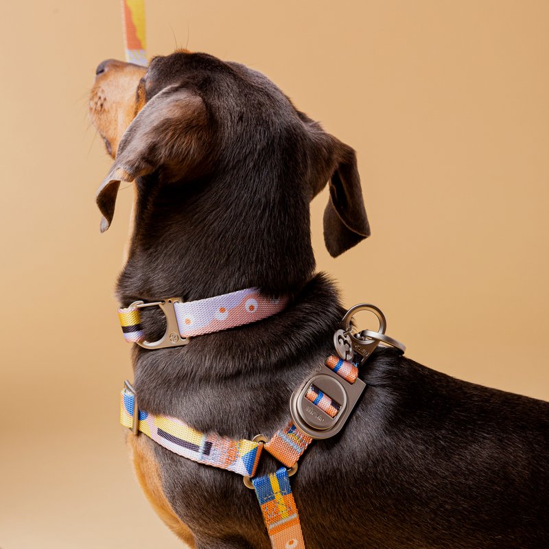 Una No-Pull Dog Harness