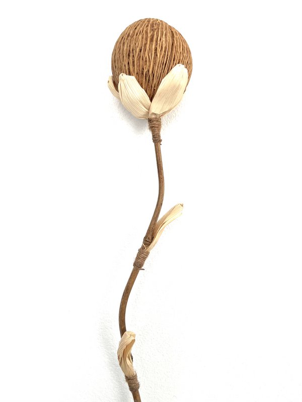 Coco Flower