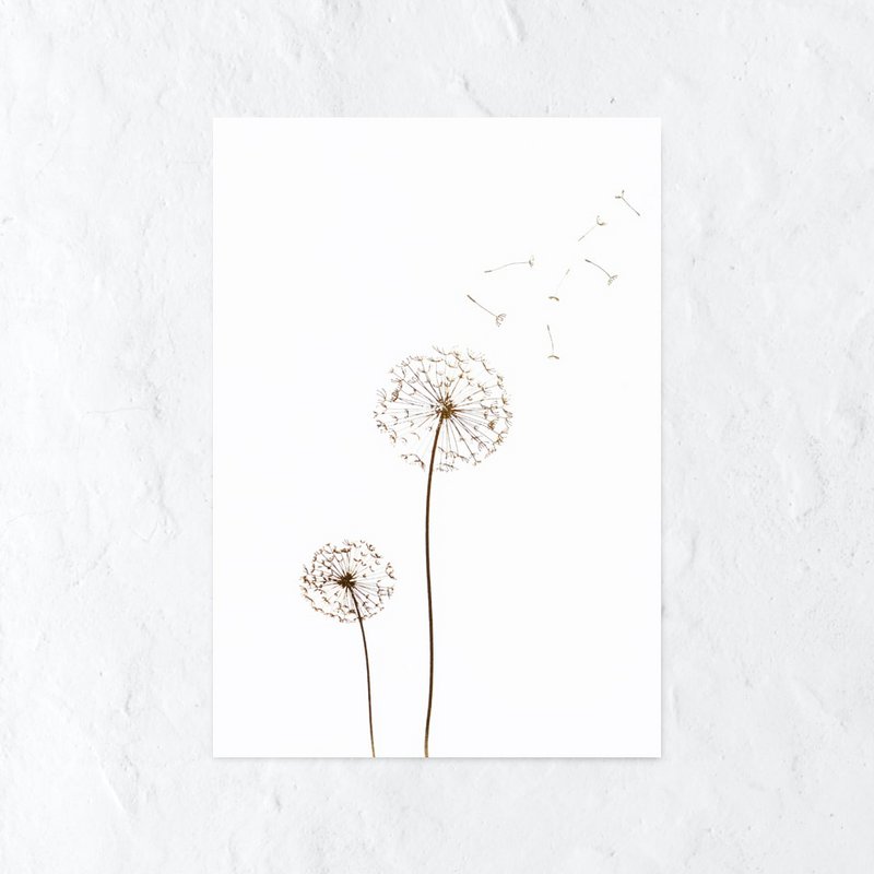 bladder flower