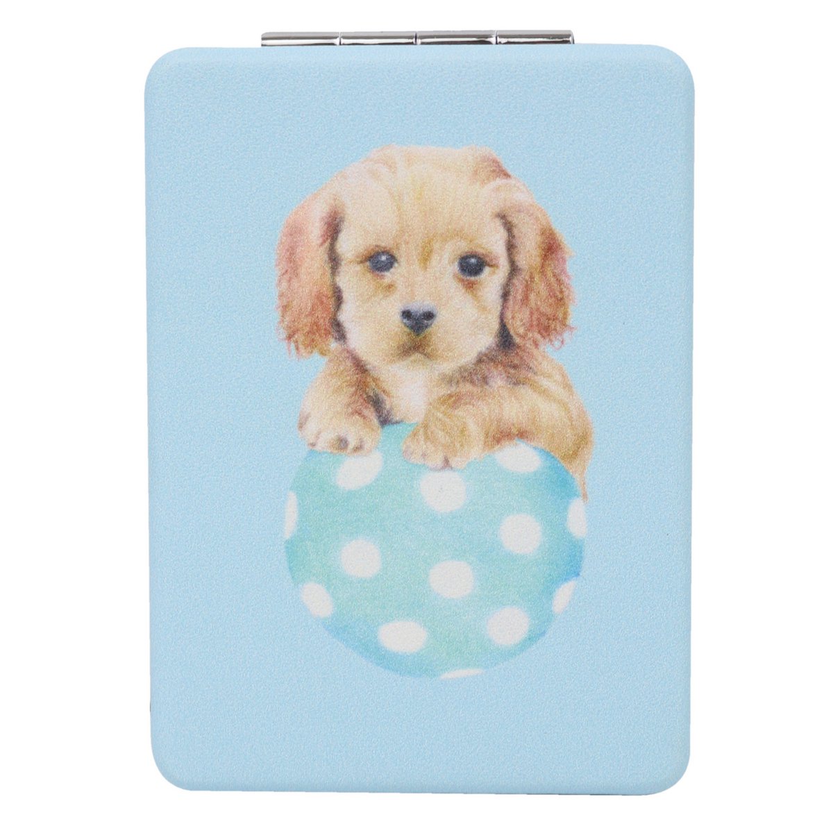 WS Rectangle Mirror Cavoodles