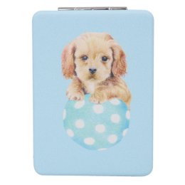 WS Rectangle Mirror Cavoodles