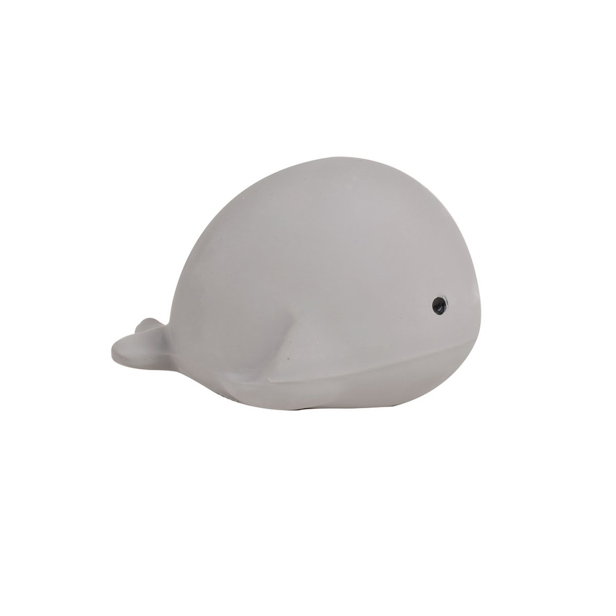 Mijn Eerste Oceaandiertje Walvis