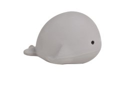 Mijn Eerste Oceaandiertje Walvis