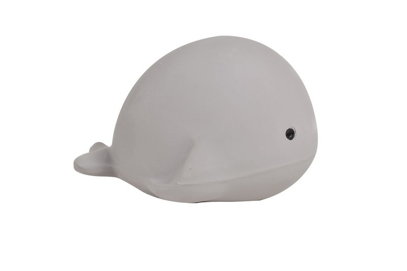 Mijn Eerste Oceaandiertje Walvis
