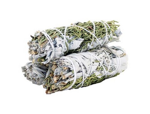 Witte Salie & Jeneverbes ter Bescherming 10 cm