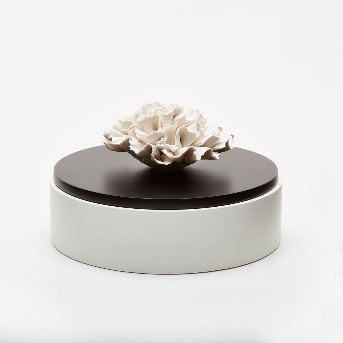 Boîte en bois laqué et porcelaine -IWA 