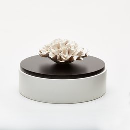 Lakeret træ og porcelænsæske -IWA
