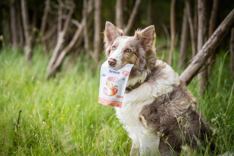 DIBAQ SENSE Derma Saumon 100g