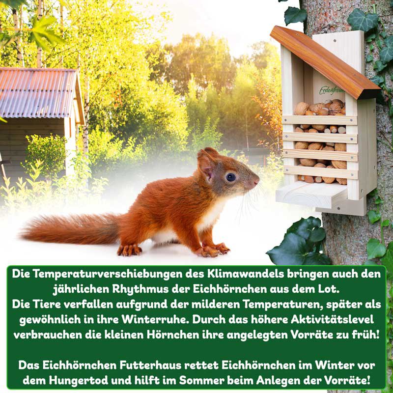 Karmnik dla wiewiórek ERDENFREUND®