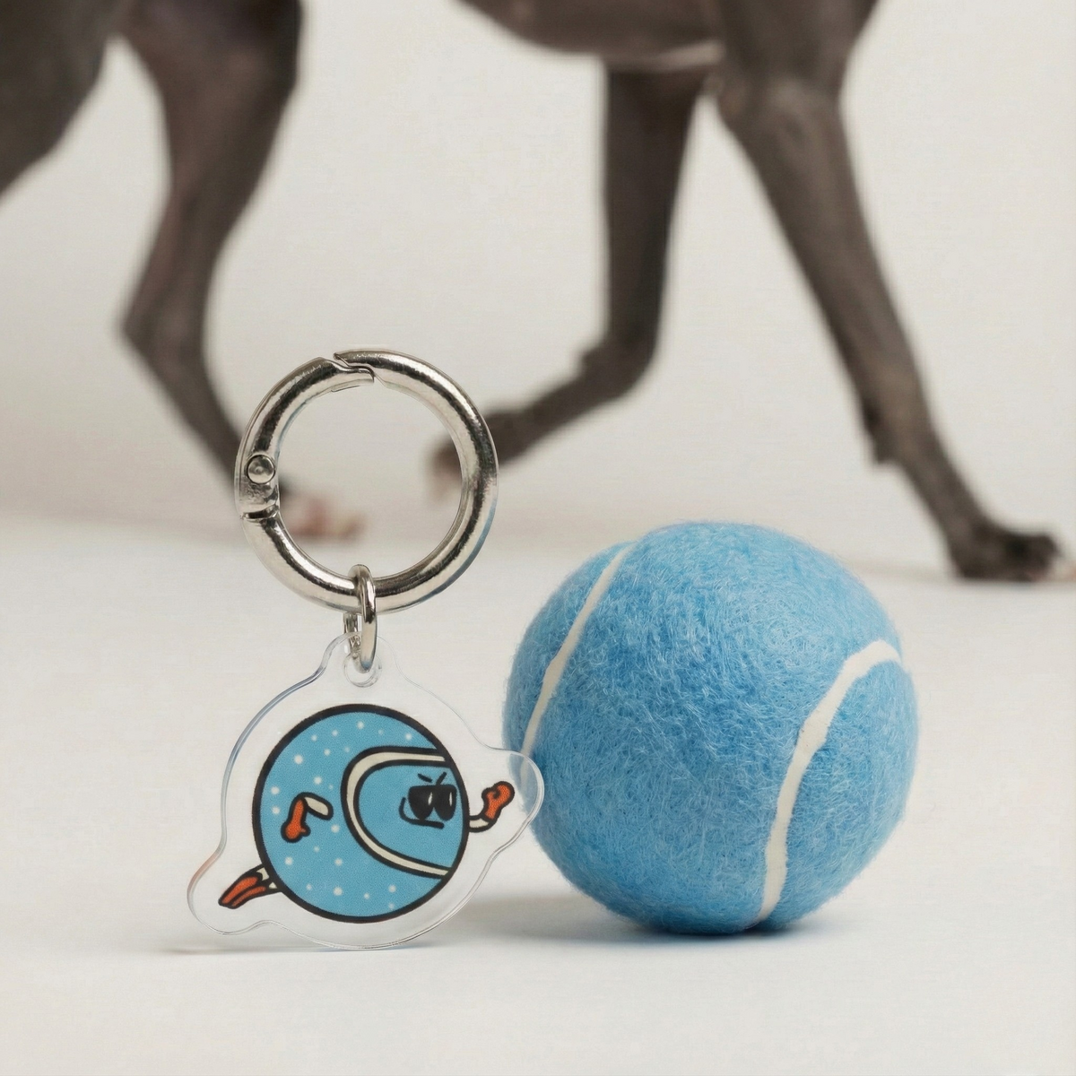 De apporteerhond-charme