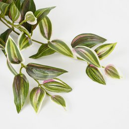 Kunst hangplant Tradescantia Groen