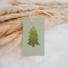Etiquetas de regalo Árbol de Navidad menta "Feliz Navidad" 6x colgantes abeto