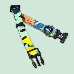 Reef dog collar