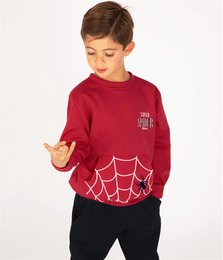 Set aus Sweatshirt und Jogginghose mit Superhelden-Spinne-Stickerei