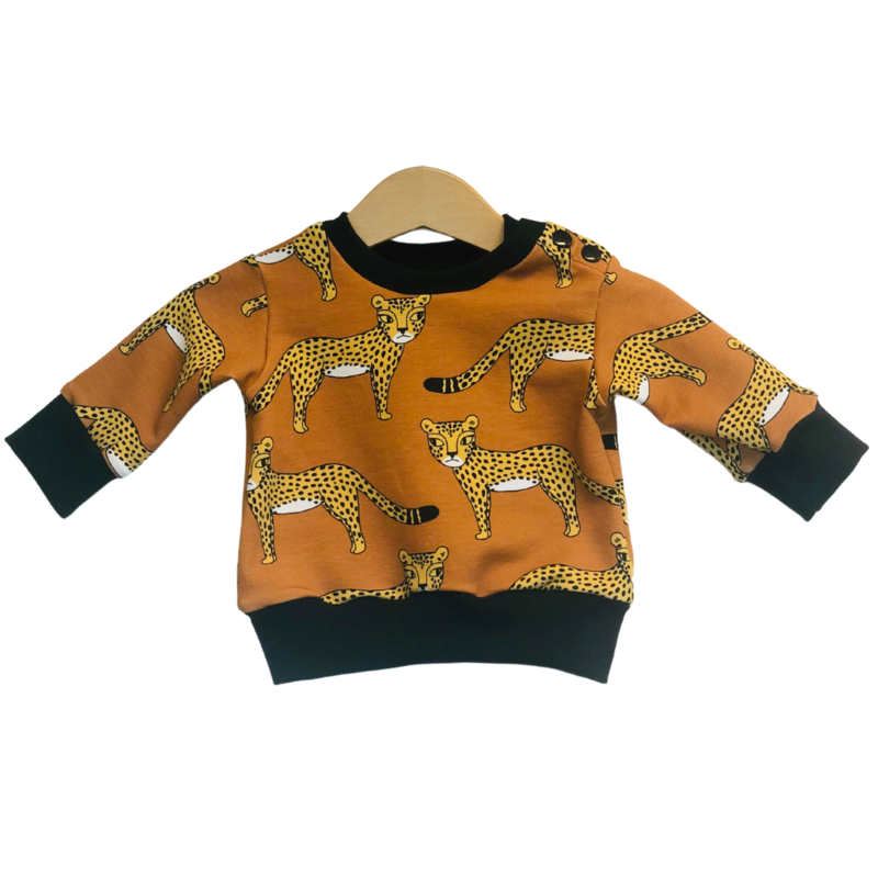 Pullover Leo Bio-Baumwolle