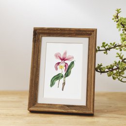 Mix di stampe d'arte botanica x16 | Illustrazione di fiori d'epoca | Decorazione artistica da parete