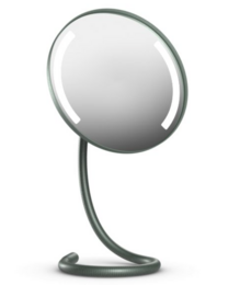 Illuminated mirror with a long gooseneck