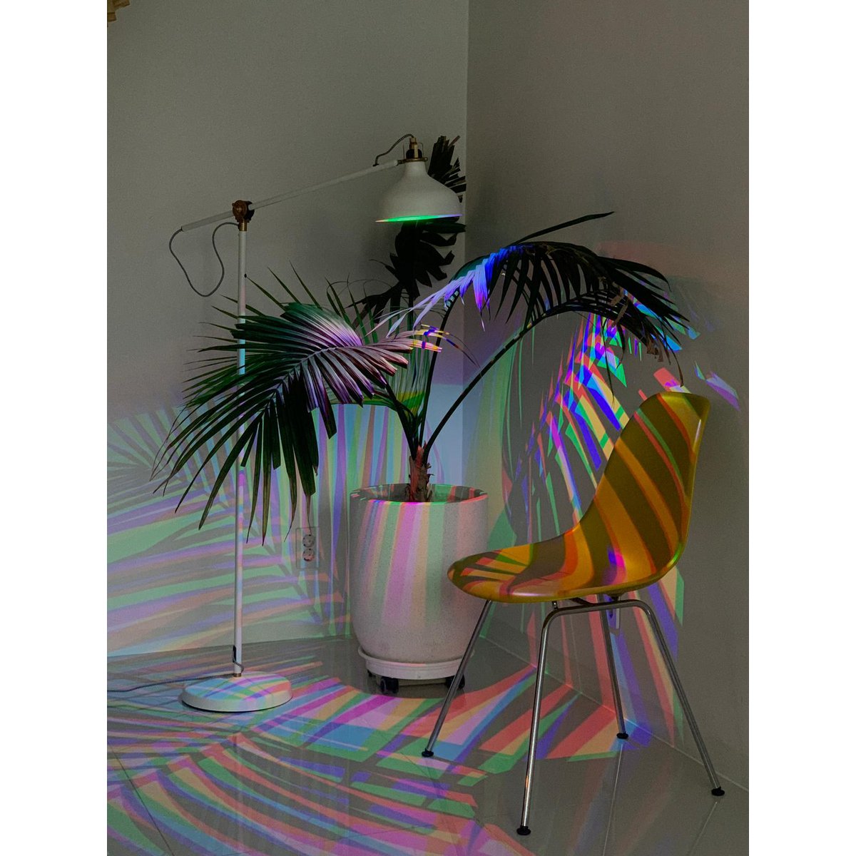 CMYK bulb 2