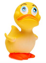 Bath Duckling