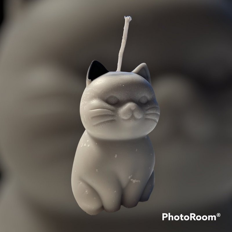 ¡Maullar! ¡Llévame a casa! Vela Gatito Adorable