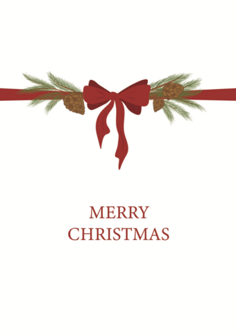Postkaart Merry Christmas - Misletoe