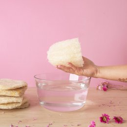 Raw Loofah | Durable sponge