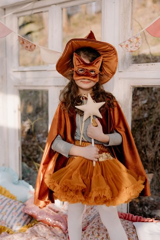 Cat Mask "Ginger Kitty"