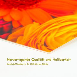 Artipics dækkeservietter vaskbart sæt med 4 Flower Power dækkeservietter plastik 42x30 cm dækkeservietter dækkeservietter dekorative dækkeservietter køkken, spiseplads, gæster, indendørs, udendørs