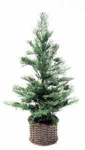 Christmas tree in basket