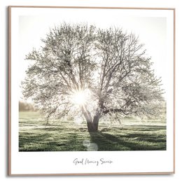 Malarstwo Slim Frame Poranne słońce 50x50