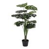 Monstera - Green, PE Plastic/Polyester/Wire/Cement, 17x18x90 cm