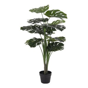 Monstera – Grün, PE-Kunststoff/Polyester/Draht/Zement, 17 x 18 x 90 cm
