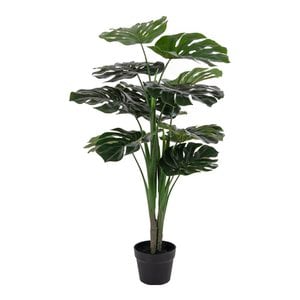 Monstera – Grün, PE-Kunststoff/Polyester/Draht/Zement, 17 x 18 x 90 cm
