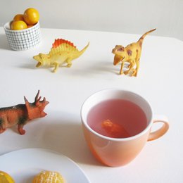 Dinosaur orange krus