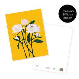 Set di cartoline - Fiori da giardino