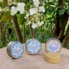 Divine Deo Reep in Rond Tin 70gr