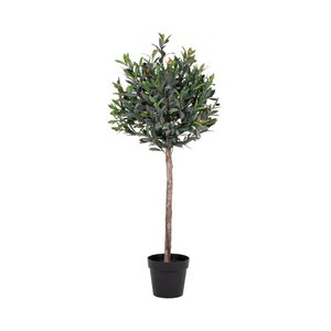 Olivenbaum – Grün, PE-Kunststoff/Polyester, 43 x 47 x 120 cm