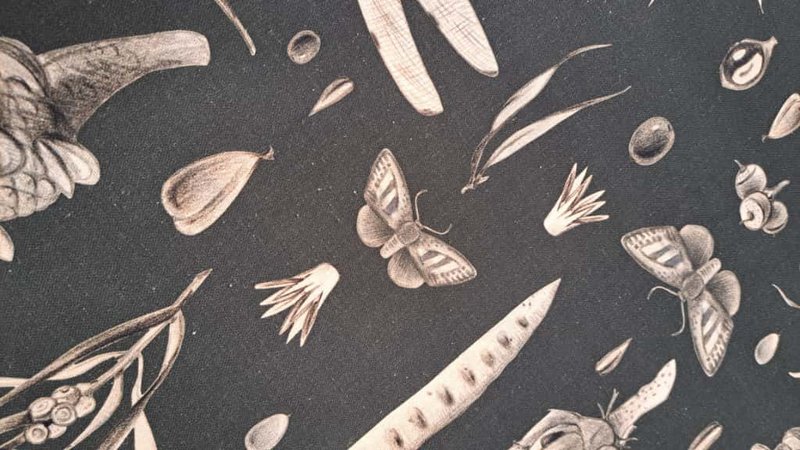 Cesta de Tela, Panera h=20cm, 100% Algodón, Estampada | Semillas De Carbono