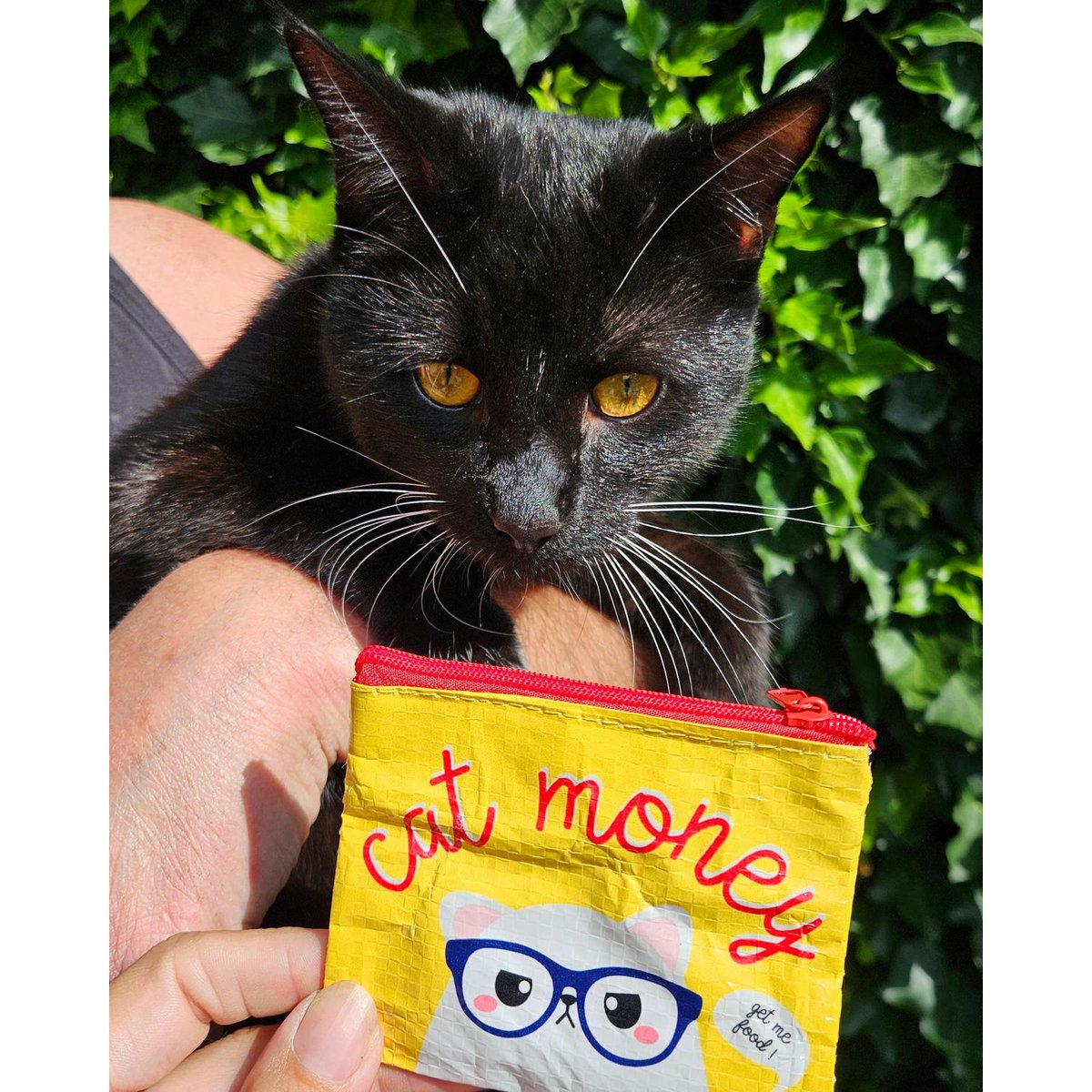 Mini Wallet Cat Money from Recycled Plastic