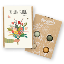 Geschenkbox Mini mit 4 Samenbomben - Vielen Dank