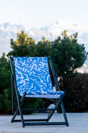 Cileno artistico – Gesti liberi - Willis