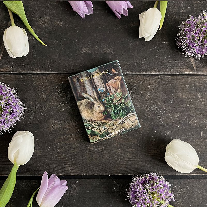 Minicards Spring - Rabbit