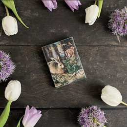 Minicards Spring - Rabbit