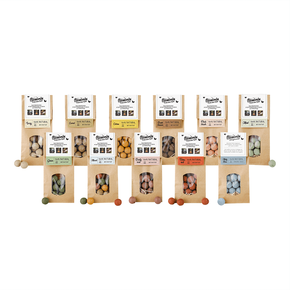 Kraft Bag 10 Pieces Seed Bomb