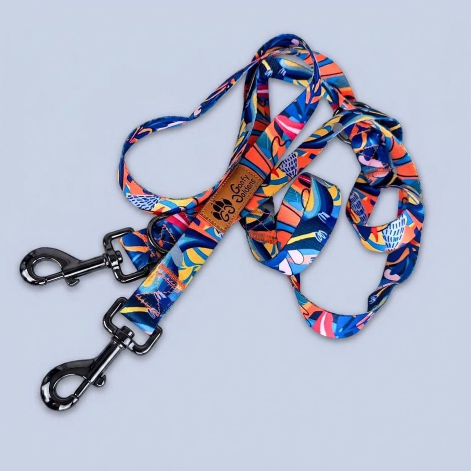 Laisse Lagon multiposition 250cm