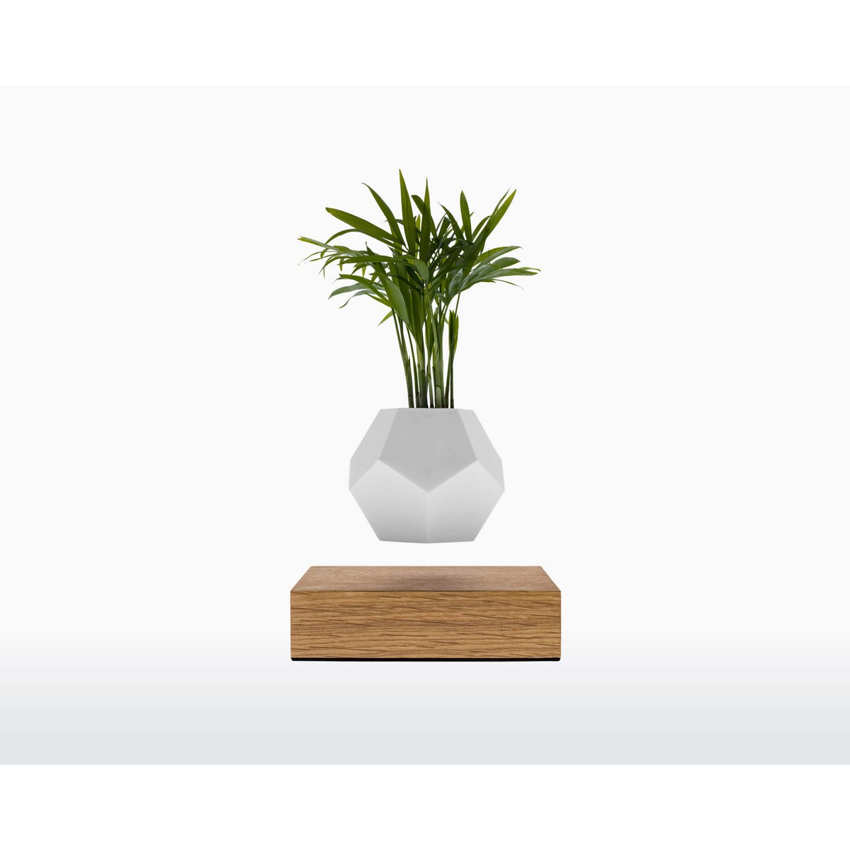 LYFE zwevende plantenbak